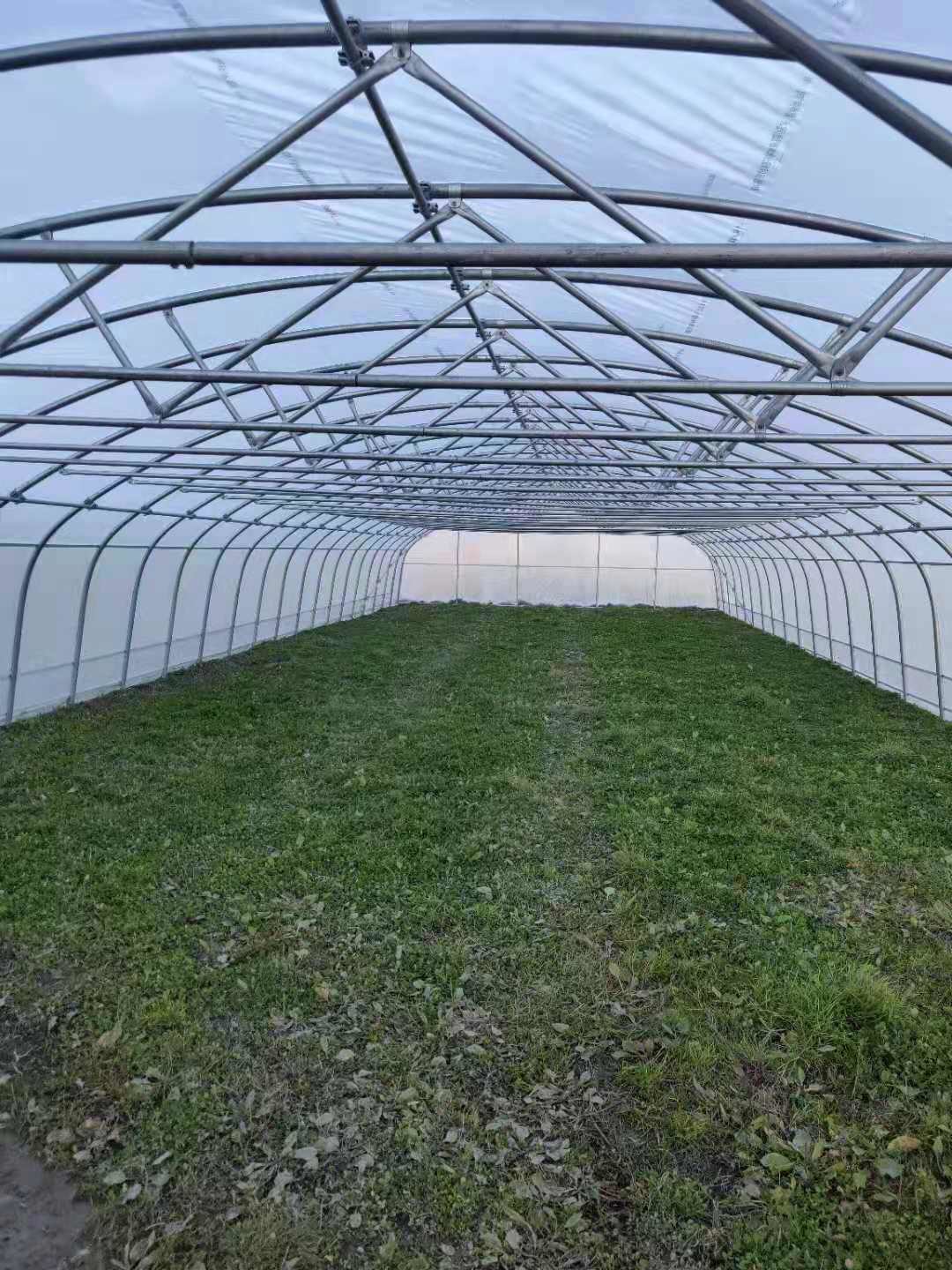 De enige Plastic Serre van de Spanwijdte Duidelijke