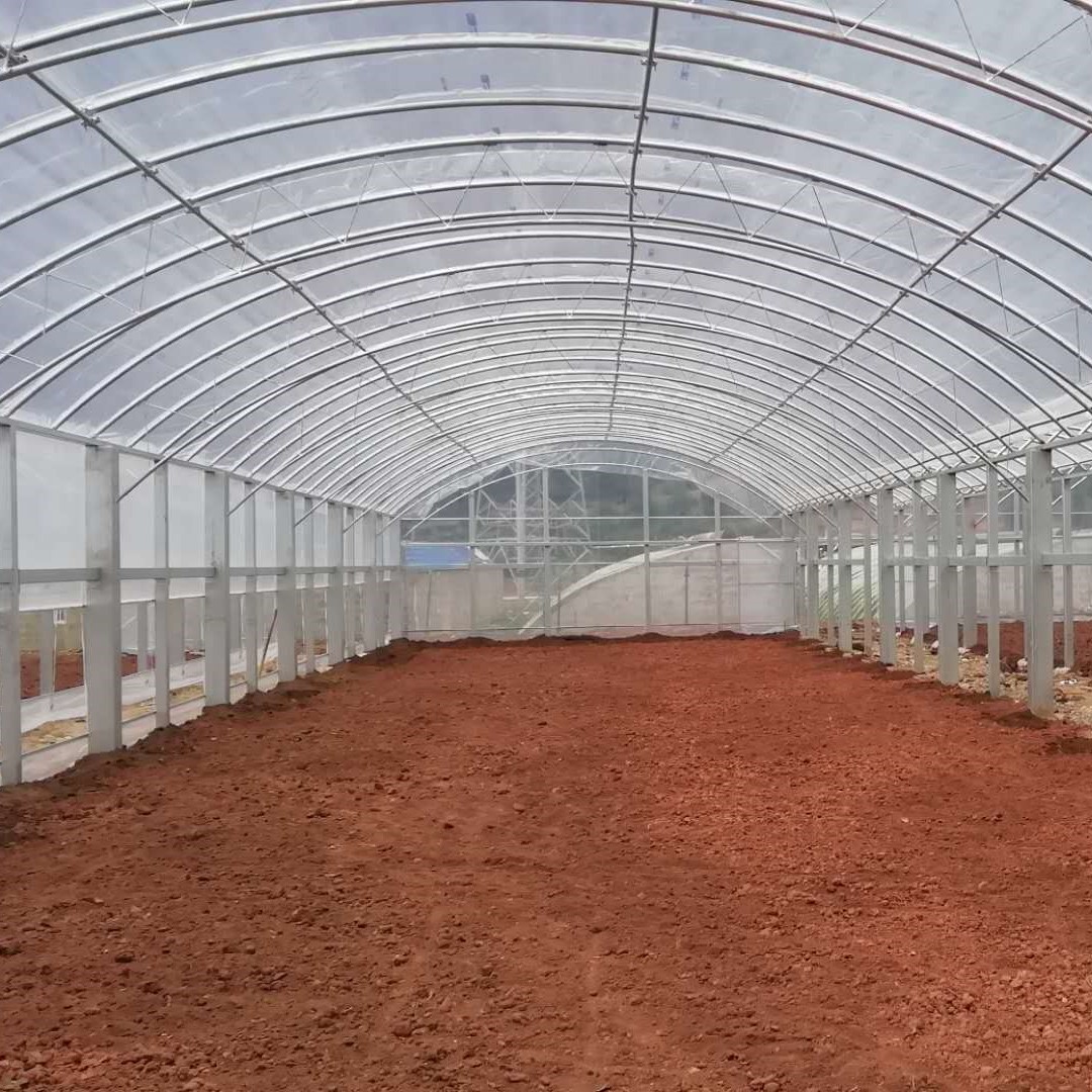 De dubbele Plastic Serre van de Bogen Plantaardige 2.8m Tunnel