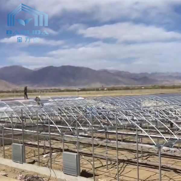 Het zelf van de Serrepc van de Ventilatie Multispanwijdte