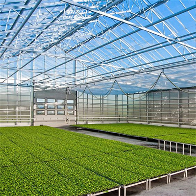 Van het de Serreglas van de landbouwbloem het Glas Professionele Nederlandse Serre van Multispan Industriële Openlucht voor Bloem het Planten