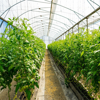 Film die van de de Tunnel de Plastic Serre van de Tomatenplantgroei Behandeld UV behandelen