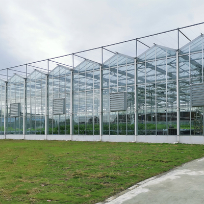 Aangemaakte het Glasserre van multi-spanwijdte Landbouwserres Venlo met Hydroponic Groeiend Systeem