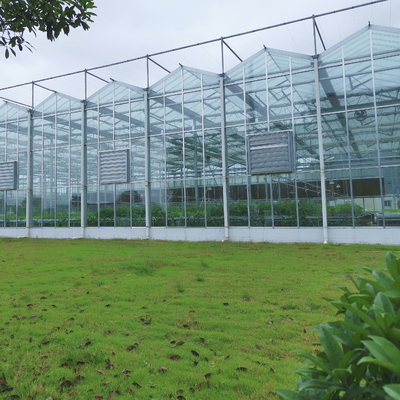 Van het de Serreglas van de landbouwbloem het Glas Professionele Nederlandse Serre van Multispan Industriële Openlucht voor Bloem het Planten