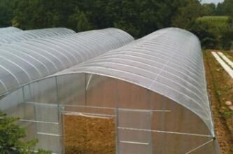 De binnen Openlucht Klein/plantaardige Serretent kweekt Geïnstalleerd Tent Gemakkelijk