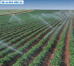 De Irrigatiesysteem van de landbouwbedrijfserre/het Water geven van Spuitbuspolytunnel Systeem