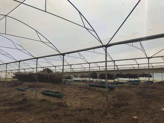 Het gevogeltelandbouwbedrijf gebruikte Landbouw Plastic Warme Serre beschermt tegen het Regenen