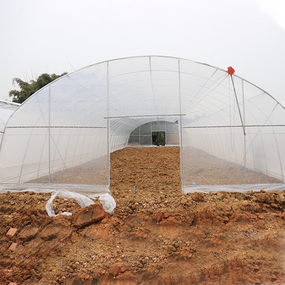 De gegalvaniseerde Plastic Film Greenhouseouse van de Staaltunnel met Netto In de schaduw stellen