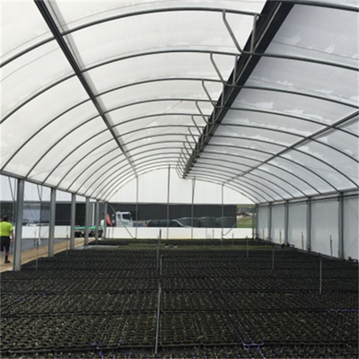 Polyethyleentunnel 6 Mil Plastic Covering Sawtooth Top-Openingsserre