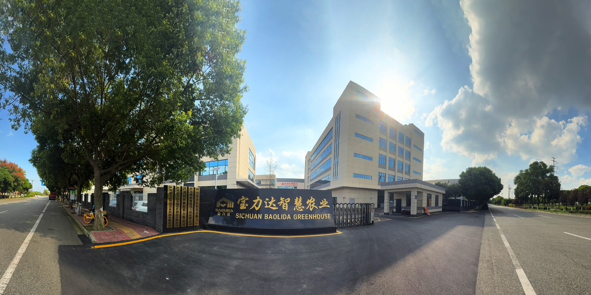 China Sichuan Baolida Metal Pipe Fittings Manufacturing Co., Ltd. Bedrijfsprofiel