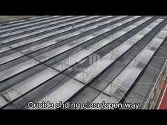 PC Sheet Automatic Multi Span Greenhouse Polycarbonate Greenhouse For Plants Growing