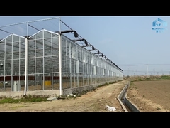 Insulated Tempered Glass Greenhouse Sunlight Venlo Greenhouse For Horticulture