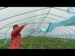 Philippines Prefabricated Kit single-span Strawberry Greenhouse Tunnel Plastic Greenhouse