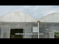 Galvanized Steel Pipe Arch Roof Type Plastic Film Greenhouse With Hydroponics System