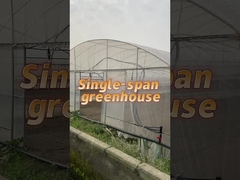 Off Season Tunnel Plastic Film Greenhouse Mushroom Greenhouse