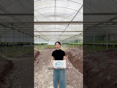 Klaar om je boerderijspel te verbeteren?