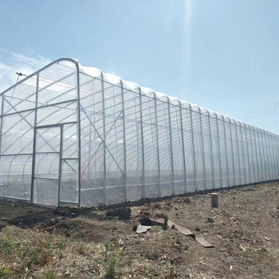 Kwaliteit  Plastic Film Solar Passive Greenhouse With Rainwater Collection Support fabriek