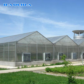 Kwaliteit  Commercial Polycarbonate Sheet Greenhouse / PC Sheet Greenhouse Customized Material fabriek