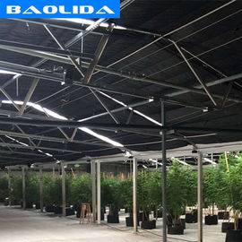 Kwaliteit  Advanced Automated Blackout Greenhouse Full Auto Light Deprivation Hemp Growing fabriek