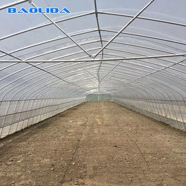 Kwaliteit  Tomato Growing Naturally Ventilated Greenhouse Plastic Film Greenhouse fabriek