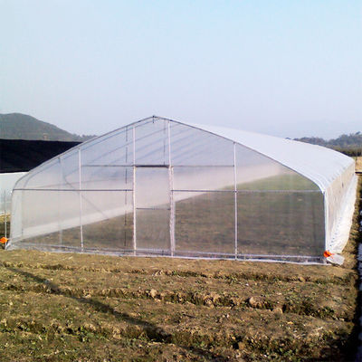Kwaliteit  High Strength Agricultural Poly Tunnel Tomato Greenhouse 5*15m 17*50ft fabriek