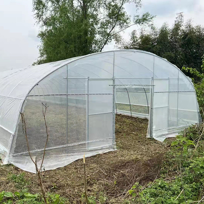Kwaliteit  Strawberry Growing Side Ventilation Single Span Greenhouse For Agriculture fabriek