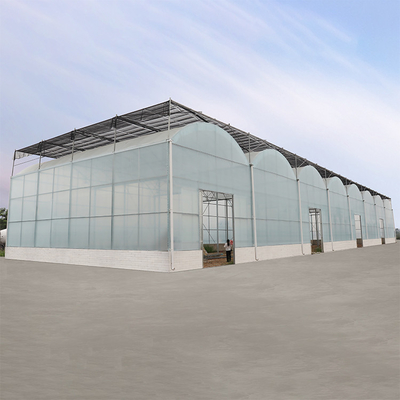Kwaliteit  Agriculture Hydroponic System High Tunnel Greenhouse Uv Film Multi Span fabriek