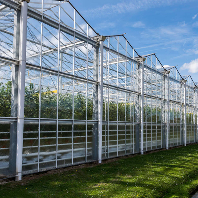 Hydroponic het Groeien Serre van het Systeem Landbouw Zonneglas voor Groenten