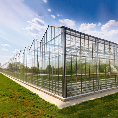 Landbouw Transparante Venlo-Type Serre voor Vruchten Bloemen