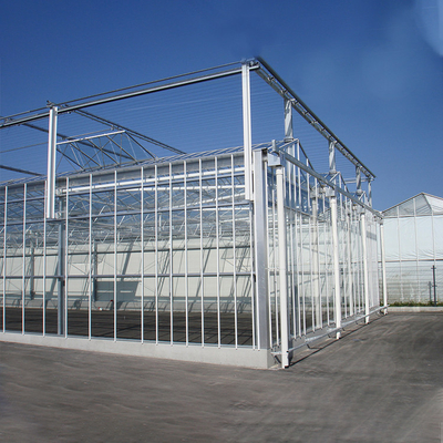 De geautomatiseerde Serre van de het Glasmuur van de Installatiehydrocultuur voor Tomatenaardbei