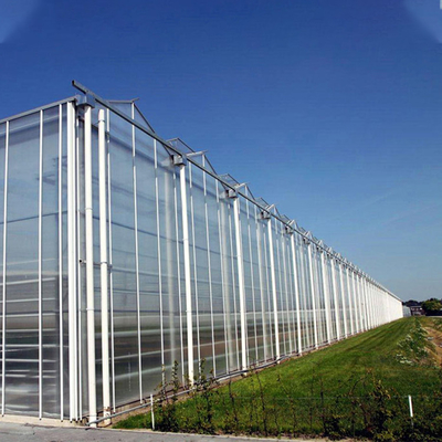Landbouwinstallaties die Multi het Glasserre van Spanwijdtevenlo met het Koelen van Stootkussen kweken