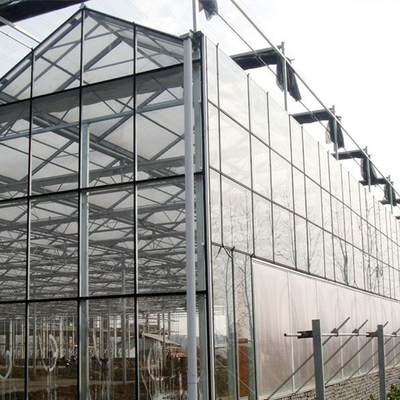 Landbouwinstallaties die Multi het Glasserre van Spanwijdtevenlo met het Koelen van Stootkussen kweken