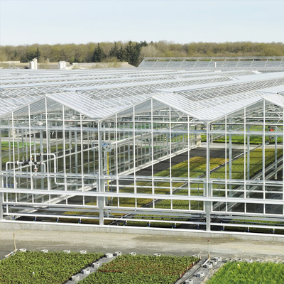 De plantaardige Serre Multispan van het Hydrocultuurvenlo Aangemaakte Glas voor Tomaat het Groeien