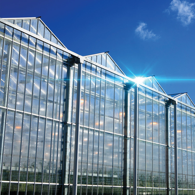 Polycarbonaat Hollow Board Glas Industrieel Buiten Multispan Glas Professionele Nederlandse Kas Voor Bloemplanting