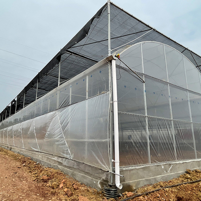 Serre van de de Tomaten de Multispanwijdte van Serreinvernadero Landbouw met Intelligente Film