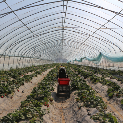 Enige Enige de Spanwijdteserre van de Tunnel Uv Hydroponic Film voor Watermeloen het Groeien