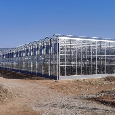 Polycarbonaat Hollow Board Glas Industrieel Buiten Multispan Glas Professionele Nederlandse Kas Voor Bloemplanting