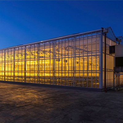 Polycarbonaat Hollow Board Glas Industrieel Buiten Multispan Glas Professionele Nederlandse Kas Voor Bloemplanting