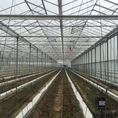 Het Glasserre van Venlo van de landbouw Multispanwijdte Automatische voor Groenten het Groeien