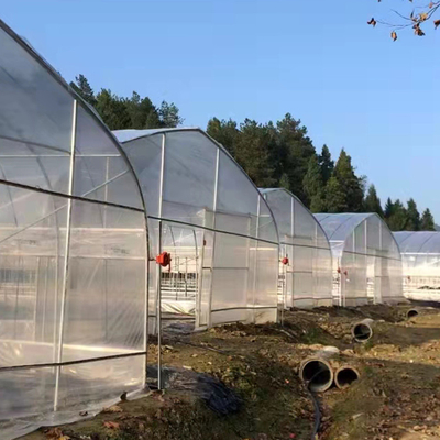 De commerciële Landbouw Hoge Enige Spanwijdte van de Tunnel Plastic Serre voor Tomaat