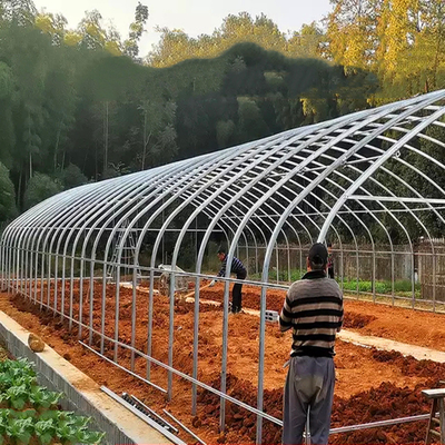 De commerciële Landbouw Hoge Enige Spanwijdte van de Tunnel Plastic Serre voor Tomaat