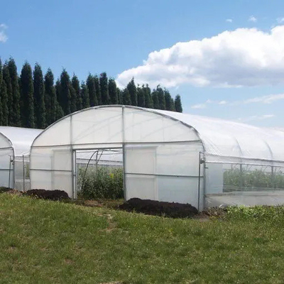 Tunnel Plastic Greenhouse Gegalvaniseerd Staal Frame Pe Film Greenhouse Single Span Greenhouse