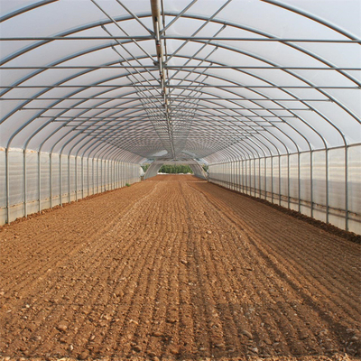 Tunnel Plastic Greenhouse Gegalvaniseerd Staal Frame Pe Film Greenhouse Single Span Greenhouse