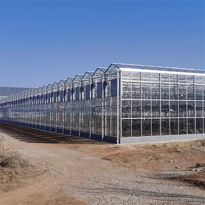 De commerciële Cultuur van de Serre Landbouwinstallaties van de Glas Multispanwijdte