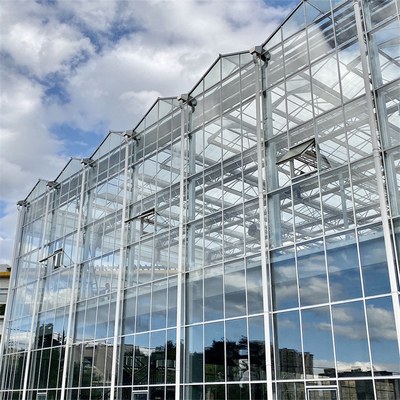 Het Glasserre van Venlo van de landbouw Multispanwijdte voor Tomaat het Planten