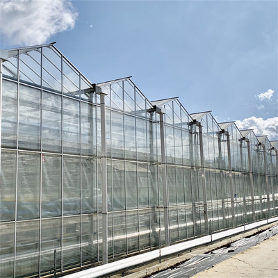 Venlo Geautomatiseerde de Serre Multispanwijdte van het Installatie Hydroponic Aangemaakte Glas Landbouw