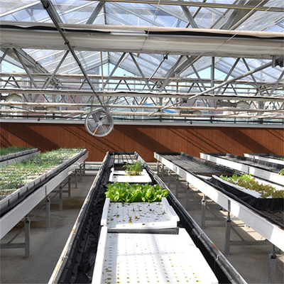 Venlo Geautomatiseerde de Serre Multispanwijdte van het Installatie Hydroponic Aangemaakte Glas Landbouw