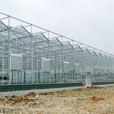Het Chinese Landbouw Aangemaakte Type van Venlo van de Glasserre galvaniseerde Commercieel