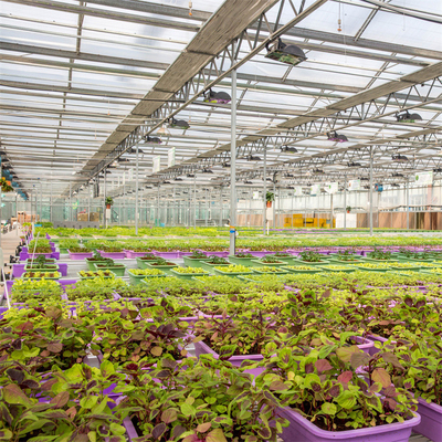 Van de Serrevervangstukken van Verwarmingssysteemserra di vetro multi-span greenhouse venlo de Serre van de het Glaswinter van Venlo