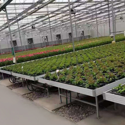 Van de groenteneb en Stroom de Banken van Tray Seeding Bed Greenhouse Rolling