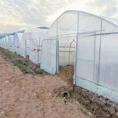 Hydroponic van de het Kaderboog van het Systeemstaal Serre van de de Film Polytunnel Plastic voor Tomaat